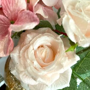 Meet your Posher, Liz